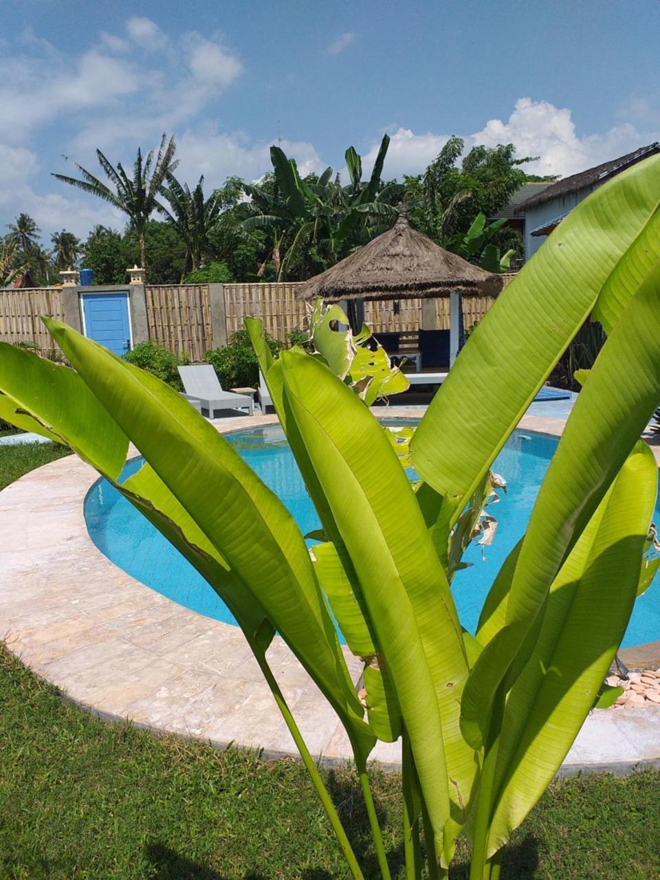 ギリ・アイル Casa Azzurra Bed & Breakfast エクステリア 写真